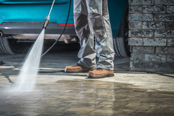 Best Roof Washing  in Oak Forest, IL