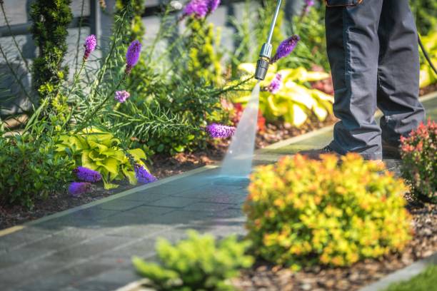 Best Restaurant Pressure Washing  in Oak Forest, IL